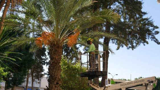 Más dinero para mantener parques y jardines en Adra