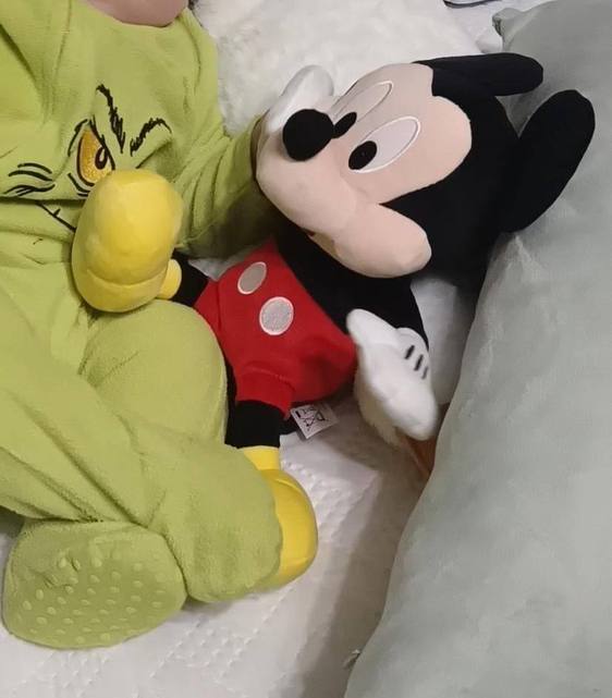 Se busca a Mickey Mouse en Adra