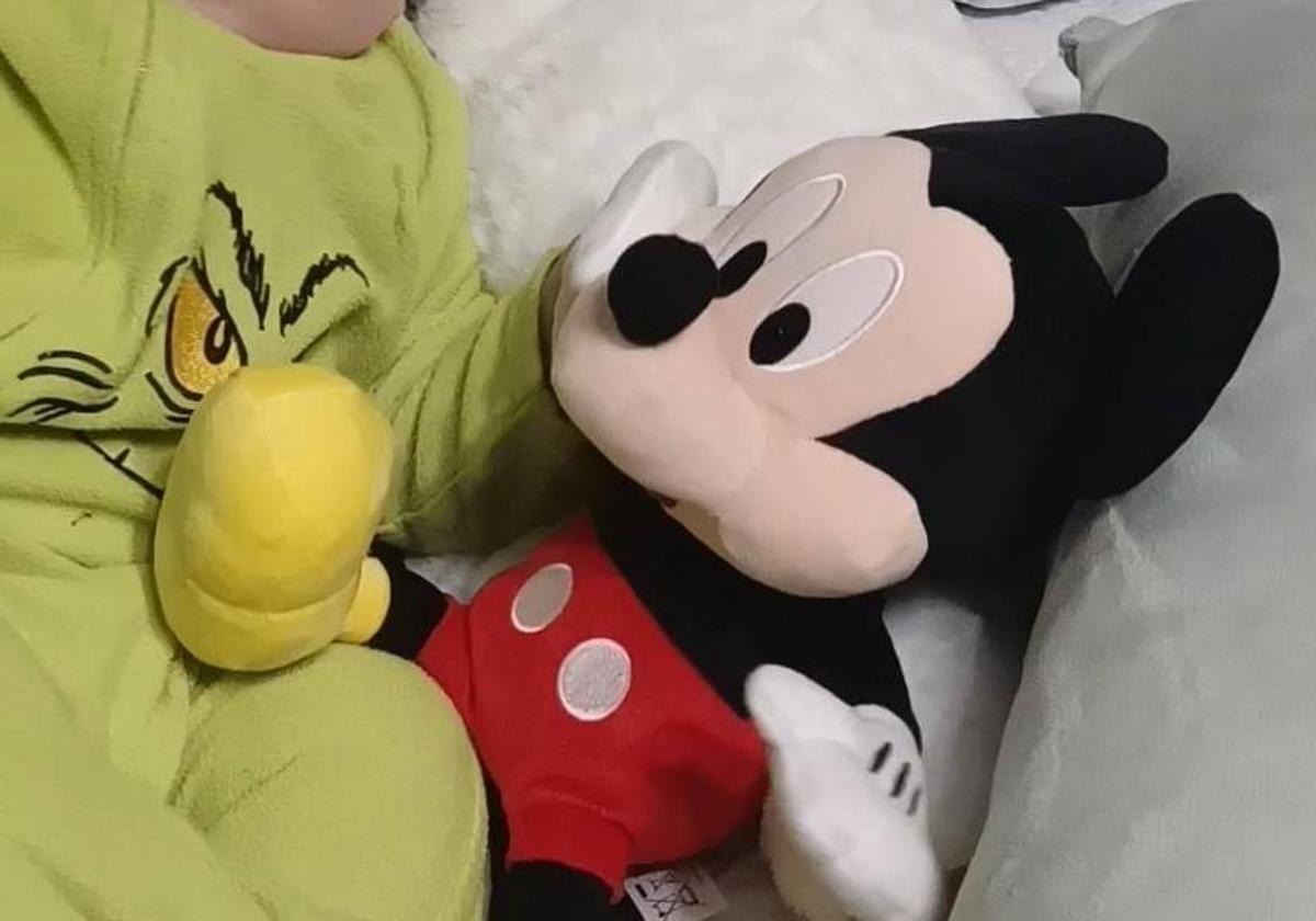 Se busca a Mickey Mouse en Adra