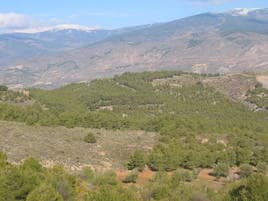 Sierra de Gádor se protege con charcas y cortafuegos de posibles incendios