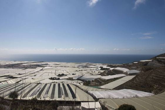 Adra sancionará a las explotaciones agrícolas sin recogida de pluviales