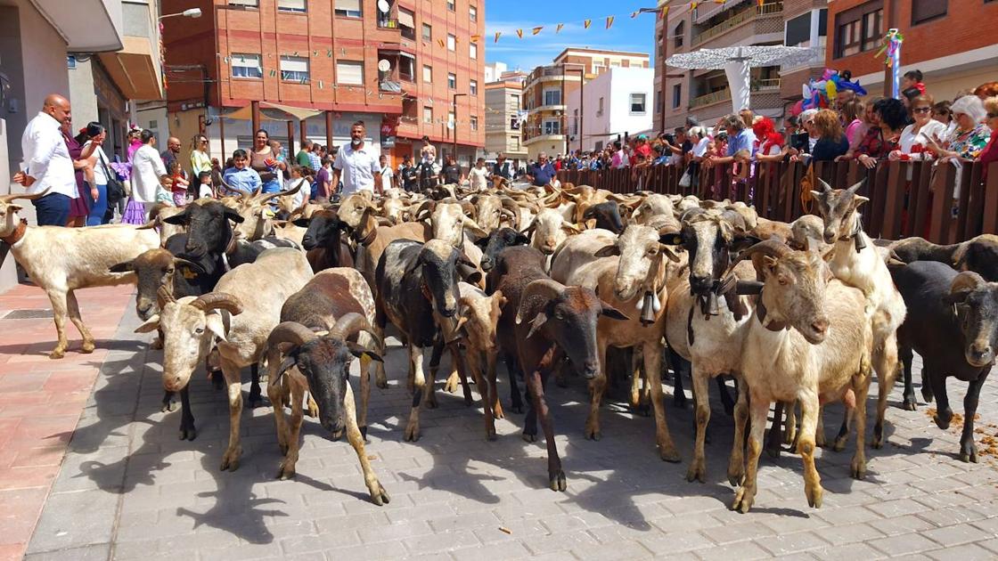 Adra vitorea al patrón de los labradores en su día grande