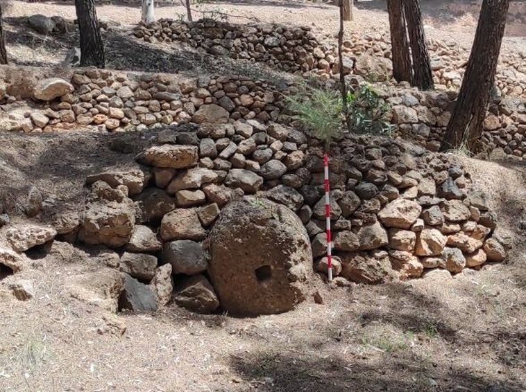 Castala destapa restos de una almazara romana