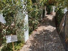 El 'tesoro' del palacio de Las Godoyas: su huerto-jardín