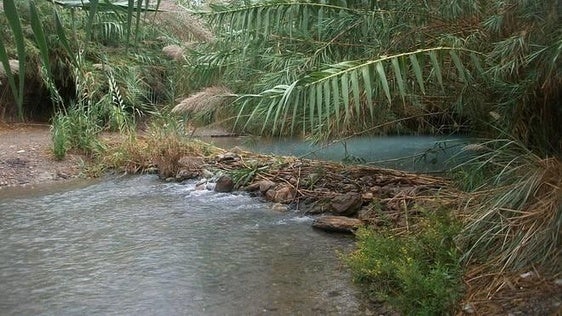 El proyecto para prevenir el desbordamiento del río Adra, en fase de licitación