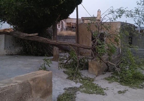 El Ayuntamiento de Dalías evalúa los daños provocados por la DANA en más de 3 millones de euros