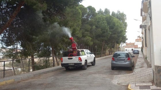 A licitación el servicio de desinfección, desinsectación, desratización y control de palomas en Adra