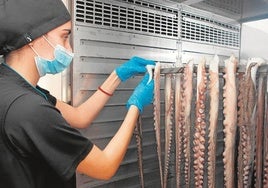 Reconocimiento europeo para el pulpo seco de Adra, este verano