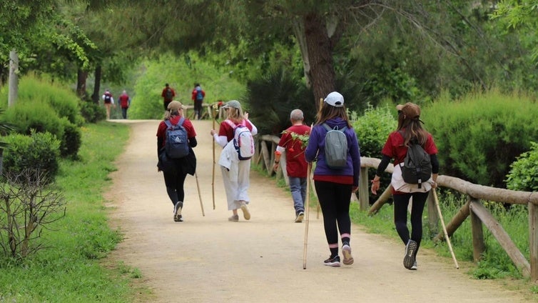 A pie desde Sevilla hasta Dalías para ver el Cristo de la Luz