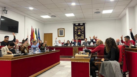 Conceden por unanimidad la medalla de la ciudad y Torre de Adra a la Asociación de Comerciantes y Los Finos