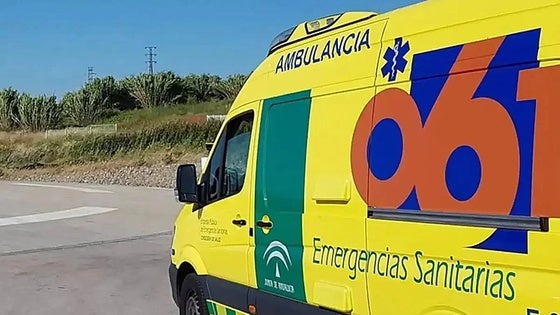 Herida una mujer tras salirse de la vía con su vehículo en la A-347 en dirección a Berja