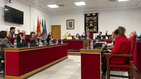 Adra solicita al Gobierno ayudas tras los destrozos por el paso de la borrasca