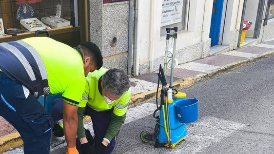 Dalías se blinda contra las plagas del verano con un gran plan de choque en su red de saneamiento