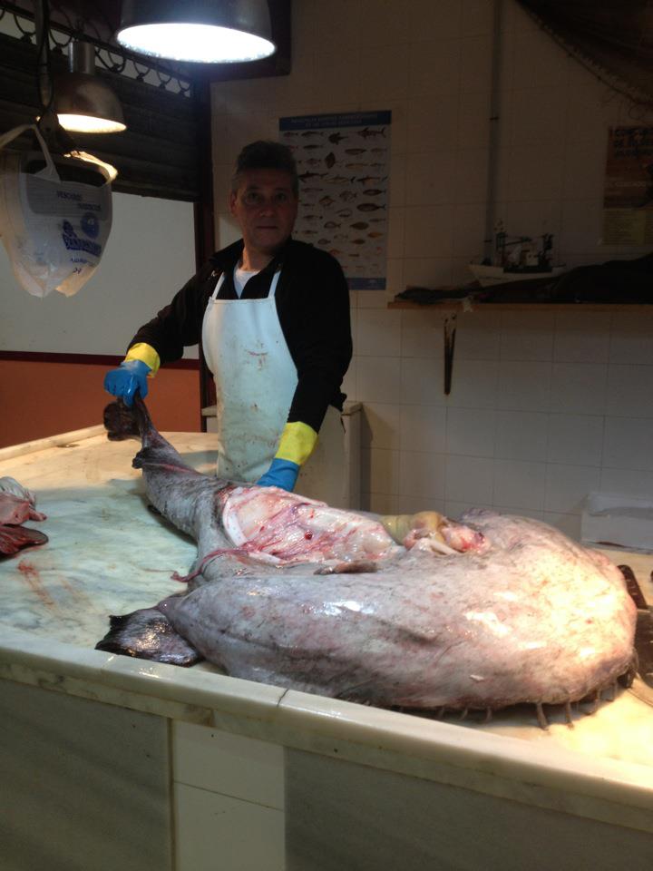 El Cantandillo vende en el Mercado un rape de 60 kilos