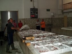 La lonja de Adra desembarca en el primer trimestre de 2012  467.000 kilos de pescado