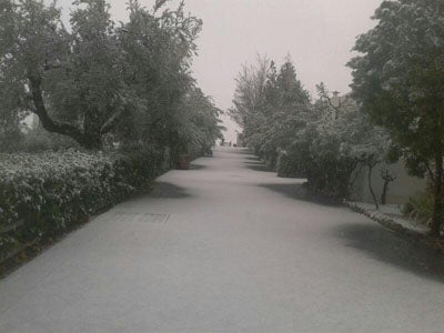 La primavera deja nieve en la Alpujarra