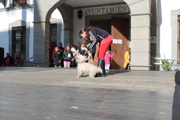 Los abderitanos presumen de mascota en el concurso canino