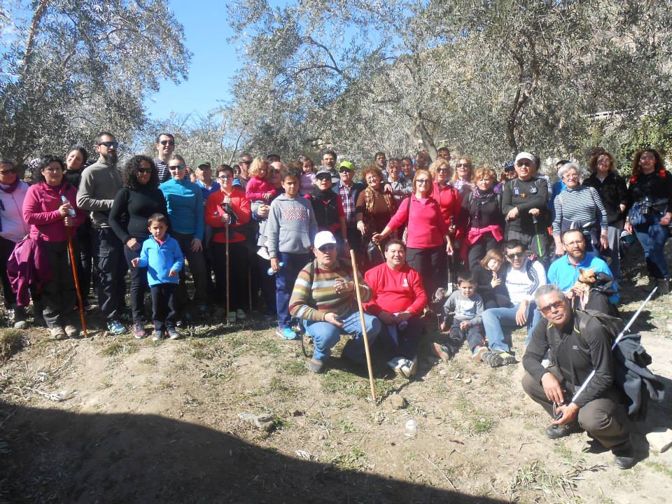 Alcolea delata la edad de sus olivos en un sendero