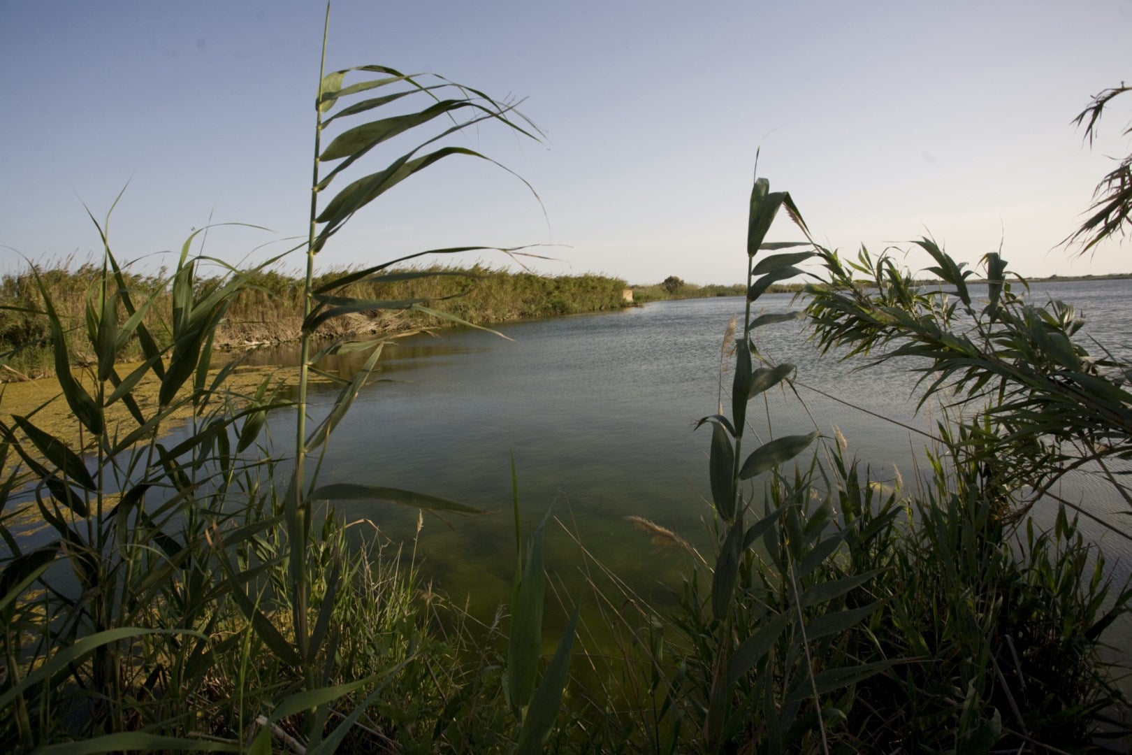 La Albufera de Adra, un recurso natural de excepción en el destino ‘Costa de Almería’