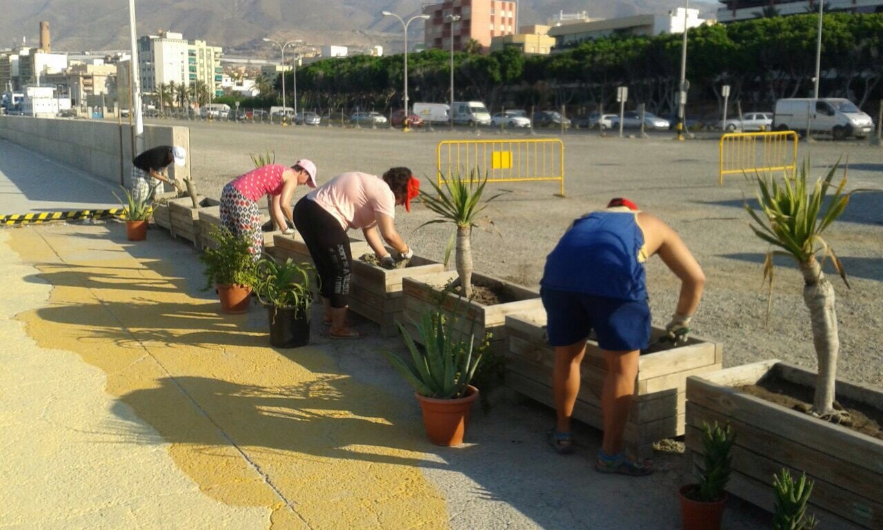 Adra suma un millar de plantas gracias al trabajo de los usuarios del Centro Ocupacional