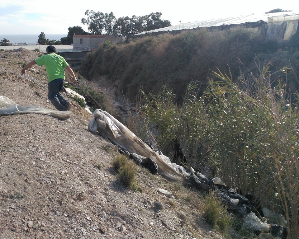 Plataforma Abderitana ‘se remanga’ en la limpieza del barranco La Noria