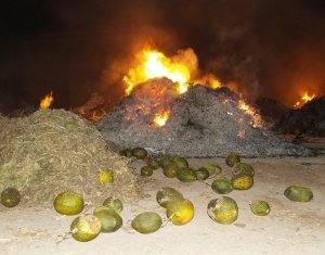 Las quemas agrícolas no son para San Juan