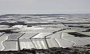 Los invernaderos, obligados a recoger el agua de lluvia