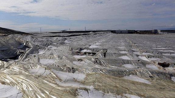 La Junta libera las ayudas prometidas para el campo por las inundaciones de 2015