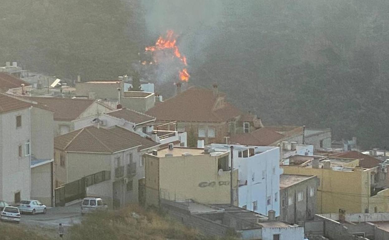 Incendios forestal en Almería | Arde el cerro del Sacristán de Macael, una zona forestal cercana a viviendas
