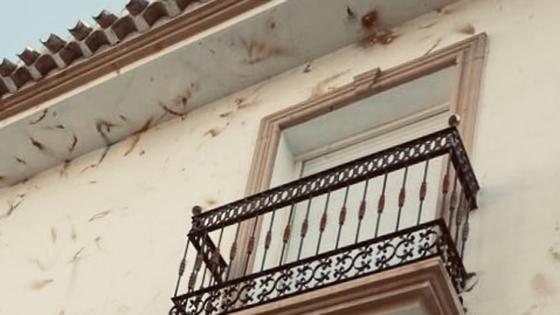 Cantoria embellece el pueblo con ayudas para que los vecinos pinten las fachadas