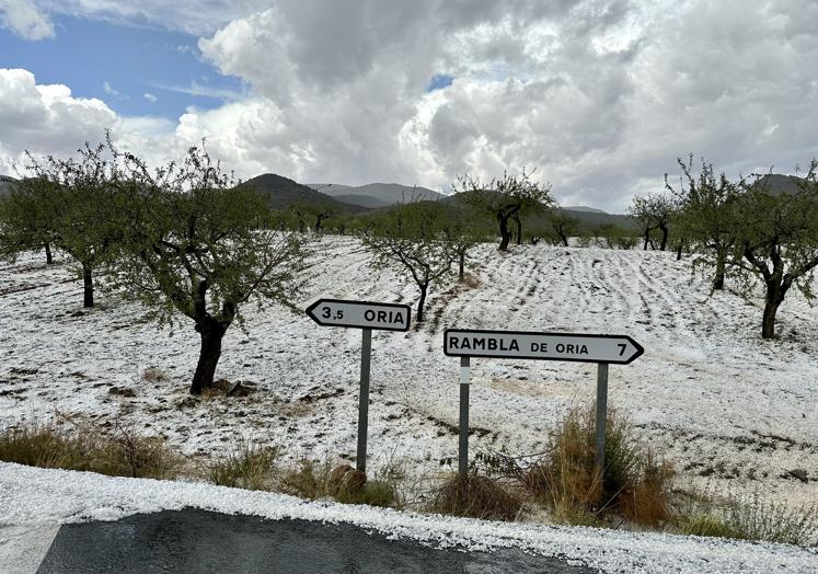 Imagen principal - Instantáneas de la granizada de hoy en Oria