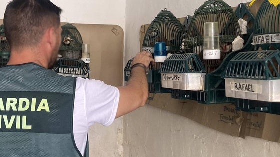 Siete detenidos por robos sin conexión entre sí en Albox y Cantoria