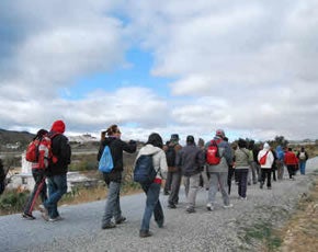 Más de 200 participantes en la ruta Flor del Almendro