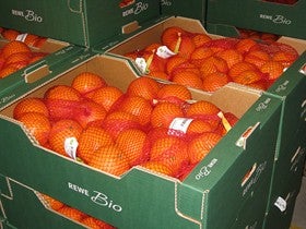 La Junta apoya a la cooperativa Al-Árbuli de Arboleas en el asesoramiento técnico y la certificación de su producción ecológica