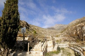 Alumnos del Taller de Empleo Valle del Almanzora IV plantan más de 350 árboles en el Huerto de la Virgen junto al Santuario del Saliente y en el mirador de la Santa Cruz