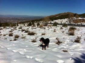 Cortadas al tráfico cinco carreteras de Almería y Granada por acumulación de hielo y nieve