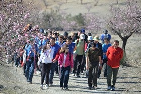 200 senderistas en la ruta Flor del Almendro de Somos Albojenses