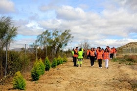 V DIA DE LOS ARBOLES Y LOS ARIDOS