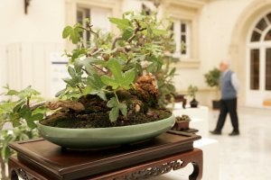 Una muestra de Diputación de Almería recoge la evolución del campo en maqutas