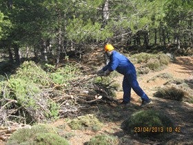 La Junta emplea a 25 desempleados en trabajos de infraestructuras forestales en Bacares, Bayarque, Laroya y Ohanes