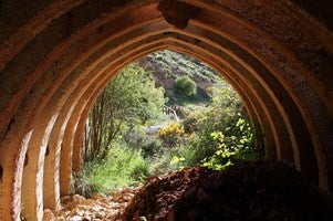 Novedades en el XVIII Safari Fotográfico por la Sierra de Serón