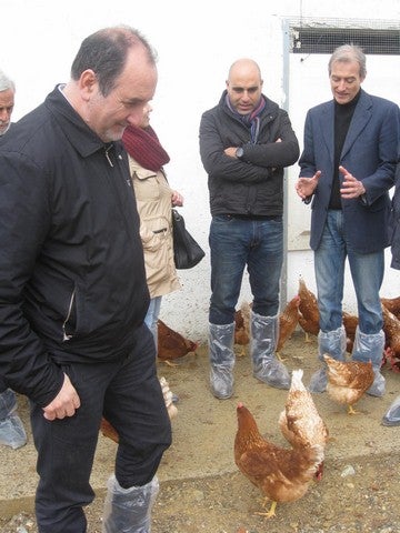 El delegado de Agricultura destaca la producción de huevos ecológicos como alternativa para el autoempleo en zonas rurales