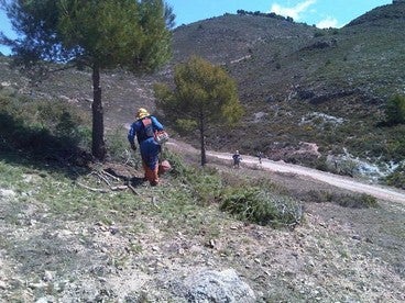 La Junta inicia trabajos en montes públicos para prevenir incendios forestales
