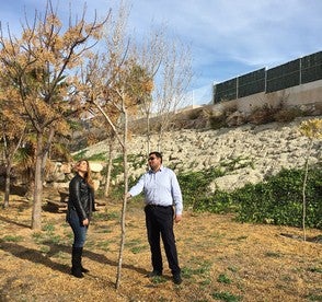 El Ayuntamiento de Zurgena planta más de una veintena de árboles de distintas especies
