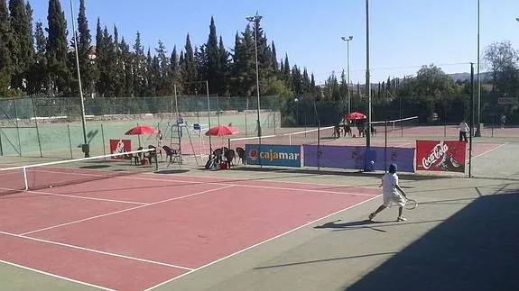 El VI Circuito Provincial de Tenis disputa su segundo torneo en Albox
