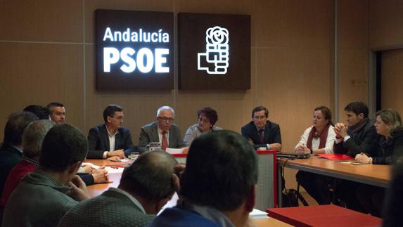 El PSOE pide al Gobierno la construcción prioritaria de la línea eléctrica Vera-Baza-Atarfe