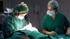 Intervención quirúrgica en el hospital. 