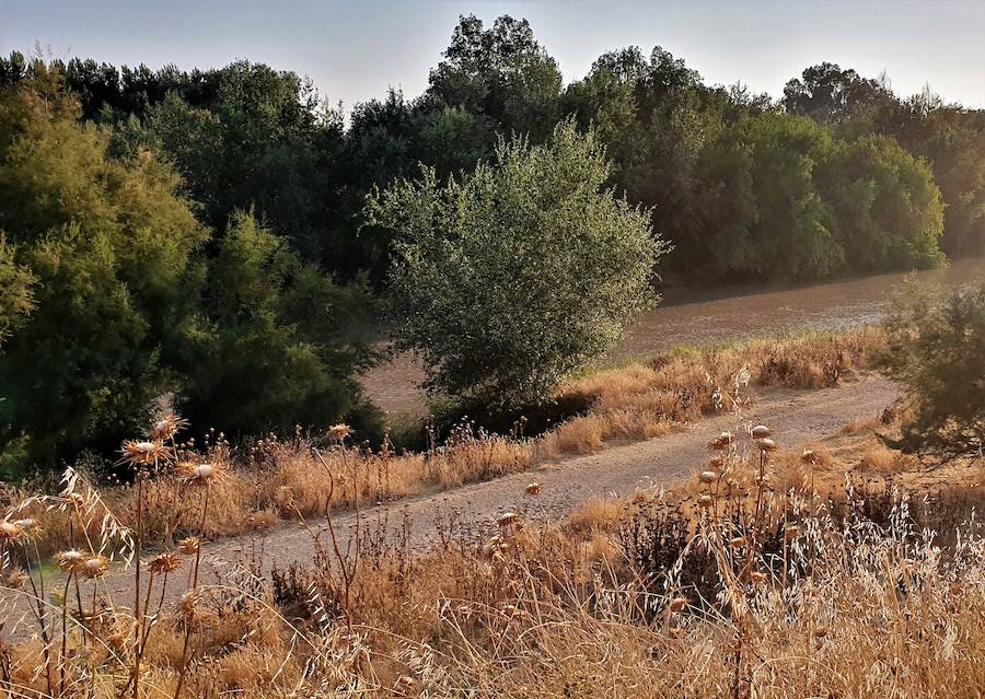 Colectivos atestiguan que la ribera del río se halla en mal estado. 