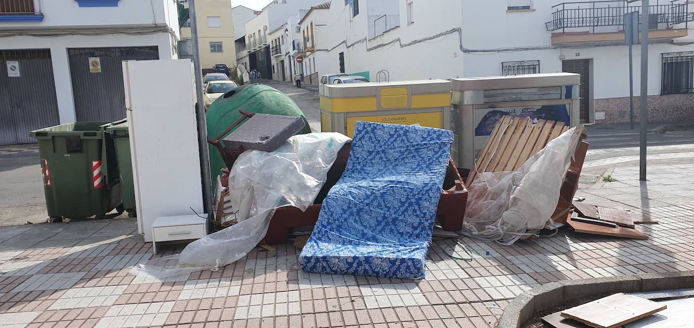 ESTADO DE UN CONTENEDOR EN LA ZONA DE LA LAGUNILLA. 