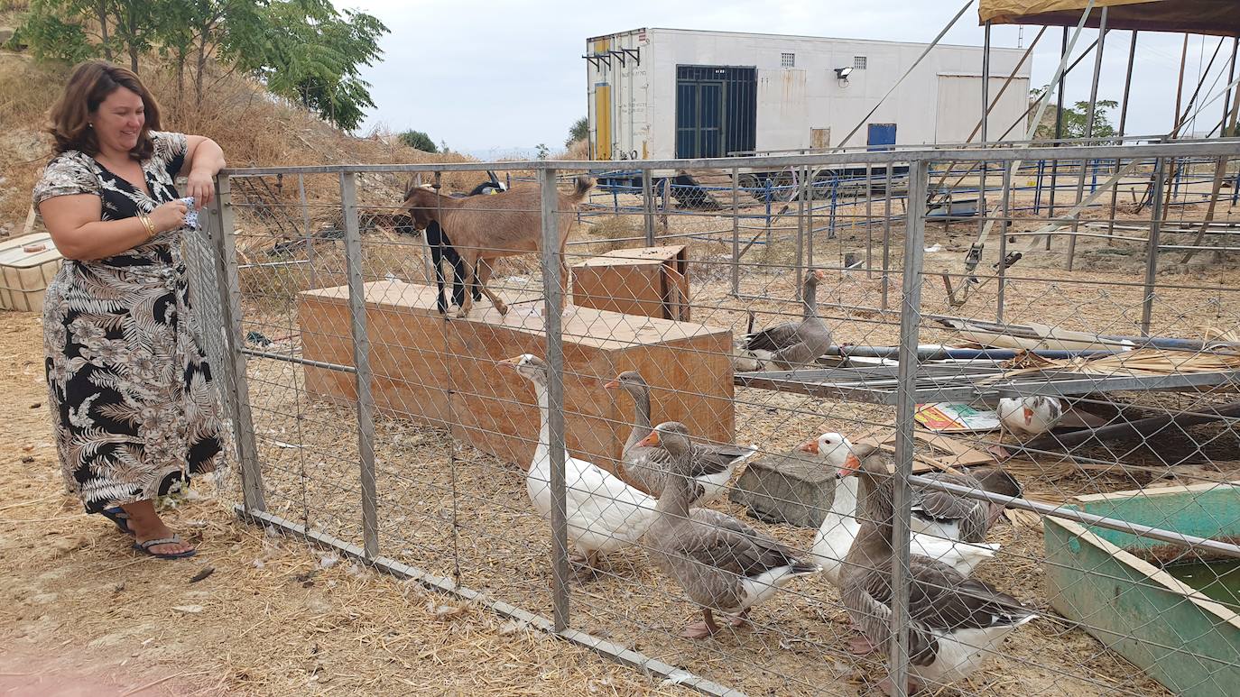 Antonia observa los patos. 